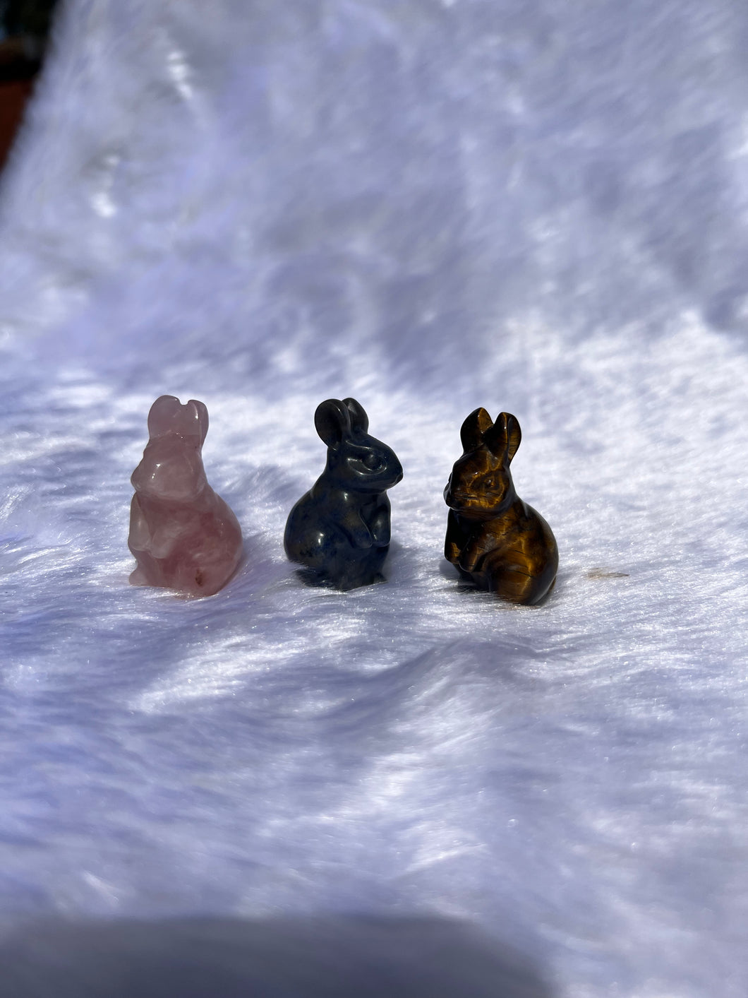 Rabbit carvings